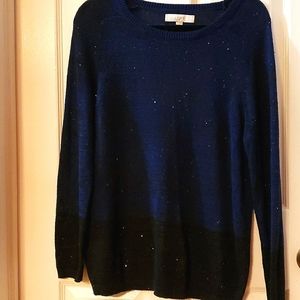 Blue Black Sequin Pullover Sweater.